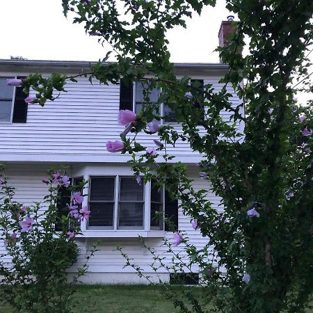 Room In Single Family House - Suburban Neighborhood In Boston Eksteriør billede